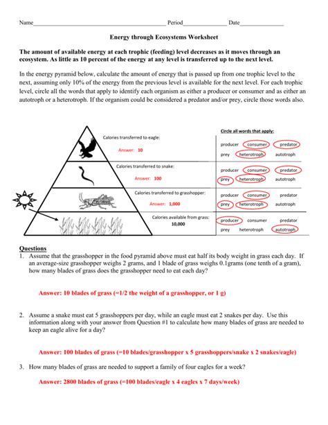 Pogil ecological pyramids answer key - Label the pyramid levels in Model 1 with the following: primary producers, primary consumers, secondary consumers, and tertiary consumers. Oak tree leaves are the primary producers. Caterpillars are the primary consumers. Blue Jays are the secondary consumers. Hawks are the tertiary consumers. 